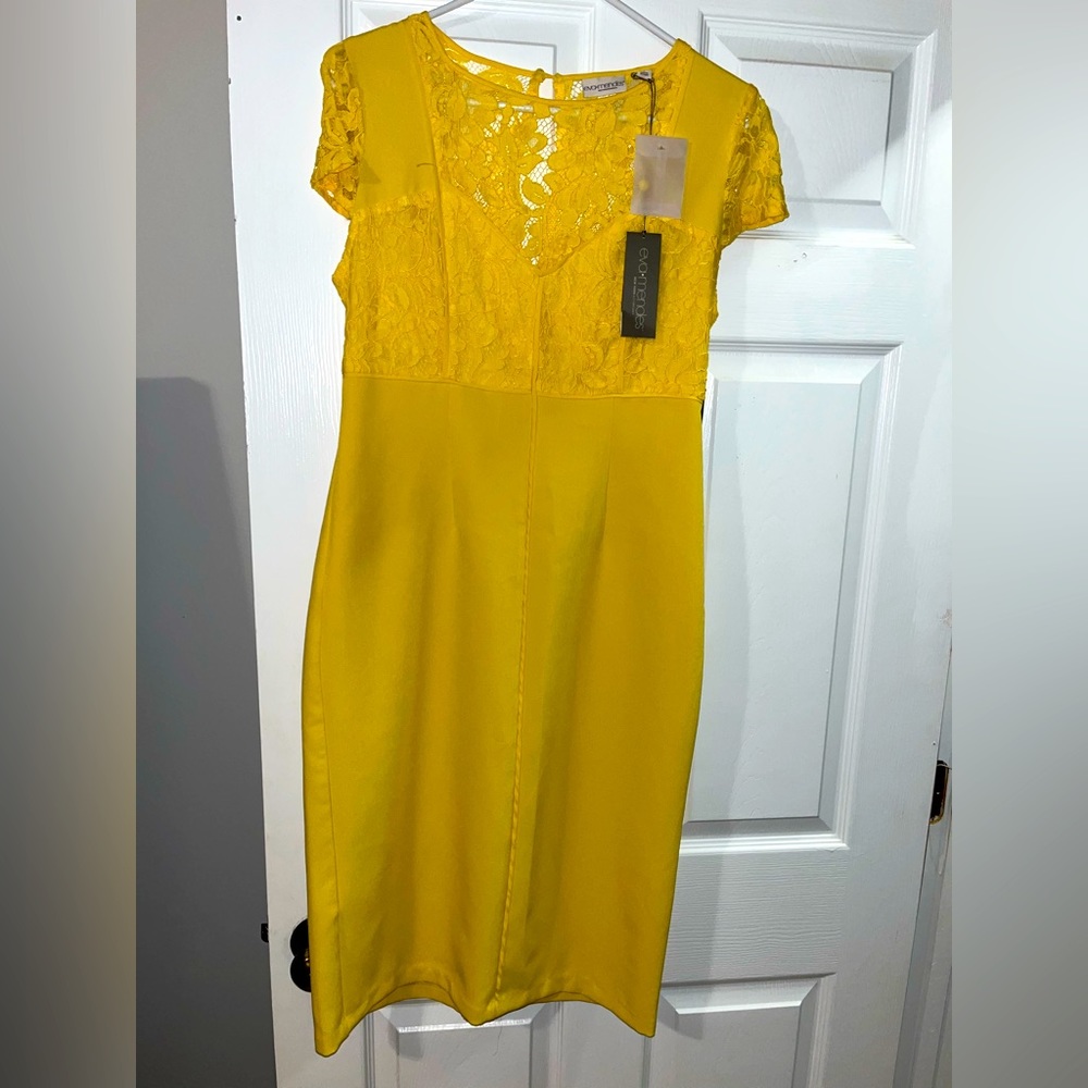 NWT Eva Mendes Fitted Midi Dress with Lace Bust